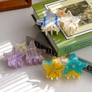 Colorful Starfish Hair Clip Cute Acetate Hair Claw