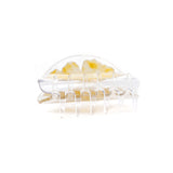 Ginkgo Biloba Hair Clips Original Acetate Hair Claws
