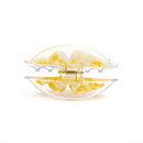 Ginkgo Biloba Hair Clips Original Acetate Hair Claws
