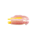 Woodpecker Hair Clips Original Acetate Hair Claws