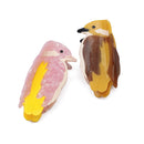 Woodpecker Hair Clips Original Acetate Hair Claws