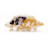 Original Conch Hair Claw Ocean Series Large Hair Clips